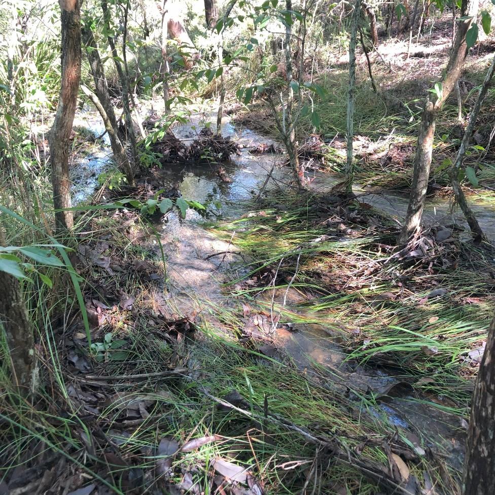 water harvesting